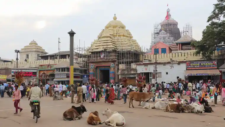 पुरी जगन्नाथ मंदिर का मुख्य प्रवेश द्वार सिंहद्वार और सामने स्थापित अरुण स्तंभ